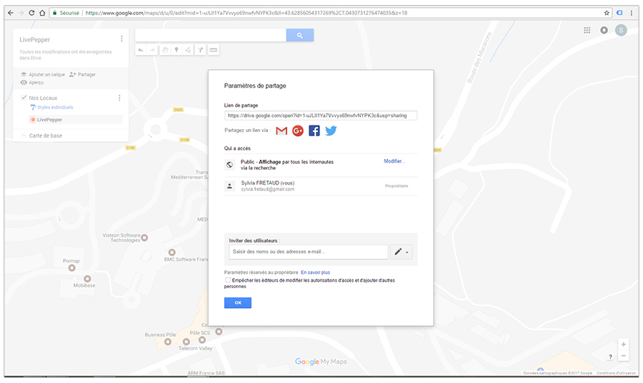 marqueur-google-map-personnalise.13