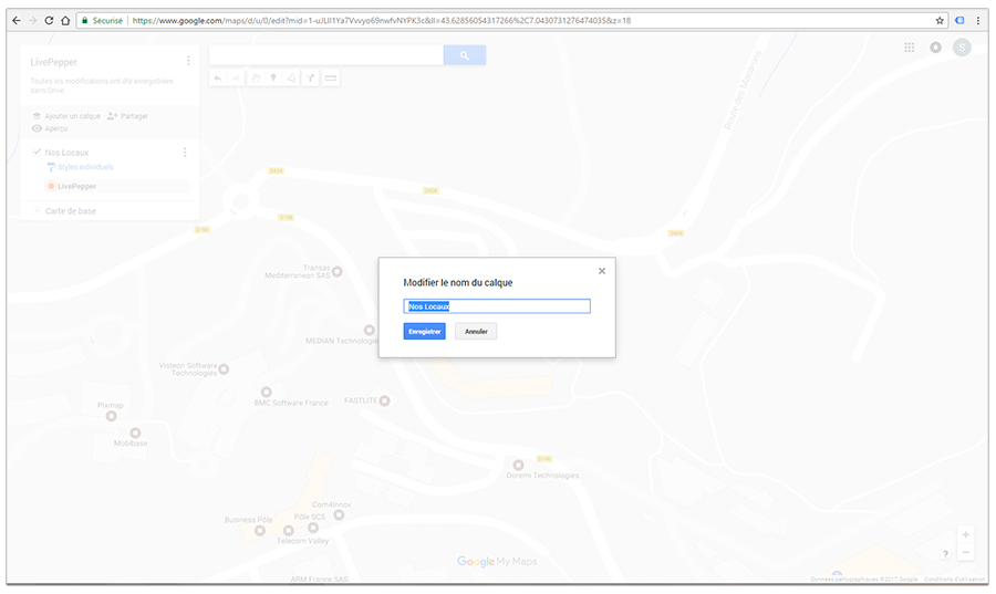 marqueur-google-map-personnalise.19